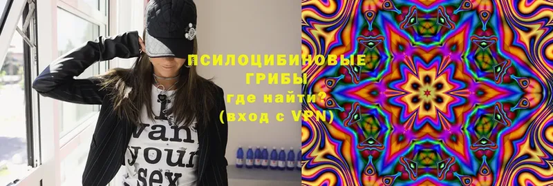 Галлюциногенные грибы MAGIC MUSHROOMS Богданович